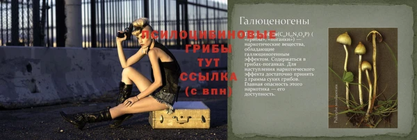 кокс Баксан