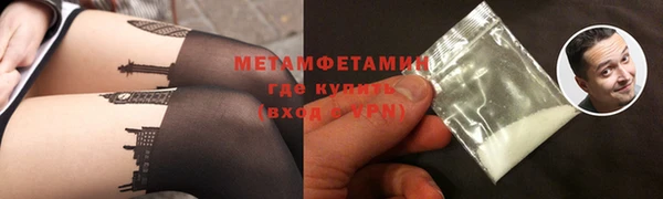 шишки Беломорск