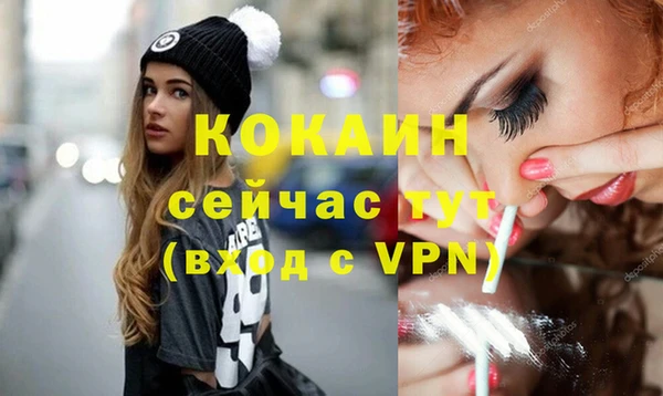 шишки Беломорск