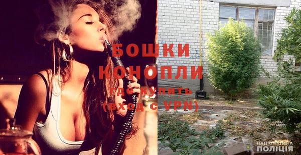 шишки Беломорск